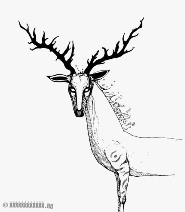#3 The Deer